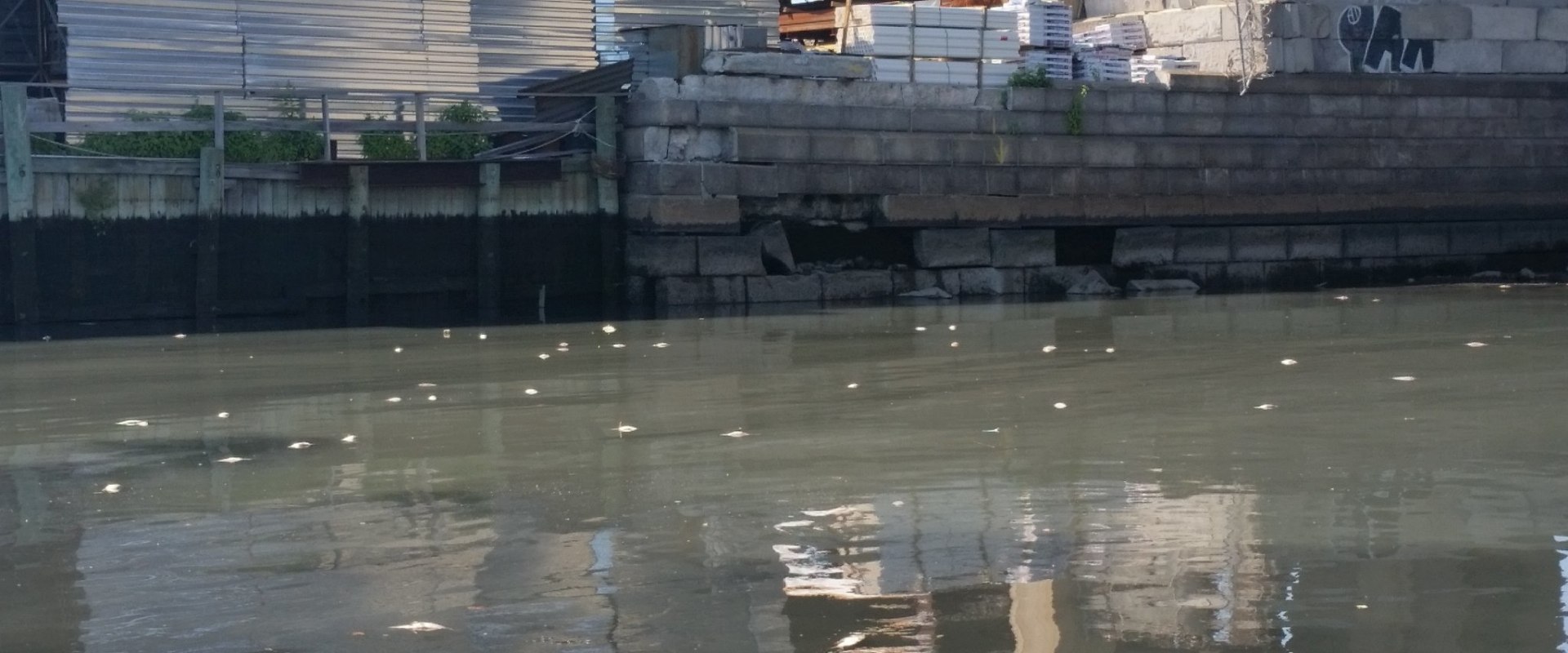 What is the Water Quality Like in Flushing, New York? A Comprehensive Guide