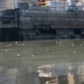 What is the Water Quality Like in Flushing, New York? A Comprehensive Guide